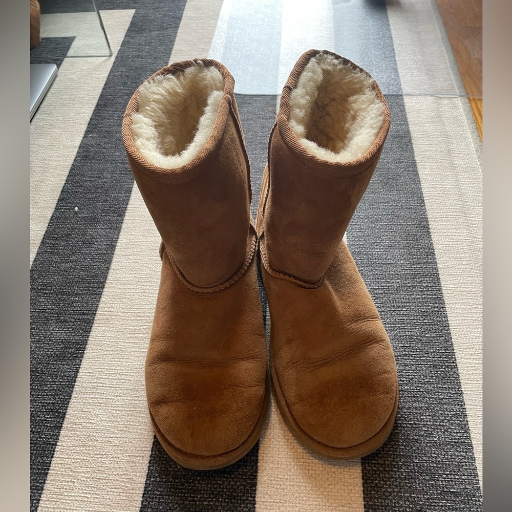 Chestnut Short Classic Uggs big kids 5/women’s 7